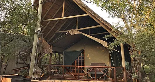 Maerua Luxury Safari Tents